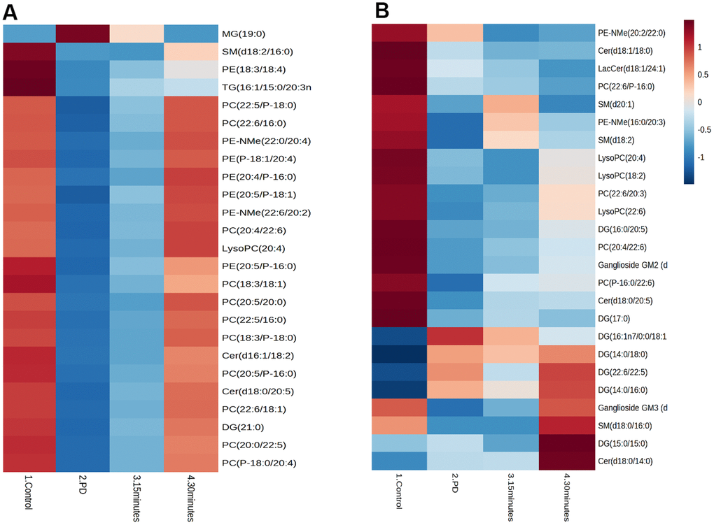 The correlations between identified brain lipid metabolites and clinical parameters in the (A) Brain and (B) Muscle. Cholesterol ester (CE), Diglyceride (DG), Fatty acid esters of hydroxyl fatty (FAHFA), Lactosylceramide (LacCer), Lysophosphatidylcholine (LysoPC), Monoglyceride (MG), Phosphatidylcholine (PC), Phosphatidylethanolamine (PE), Sphingomyelin (SM), Ceramide (Cer).