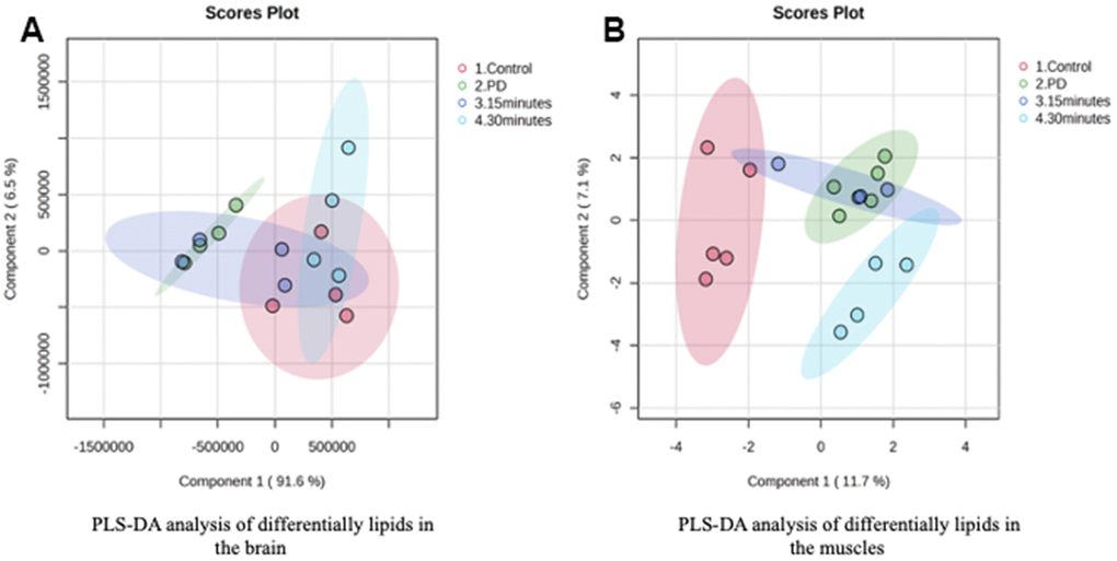 PLS-DA analysis of differentially lipids in the (A) Brain and (B) Muscle.