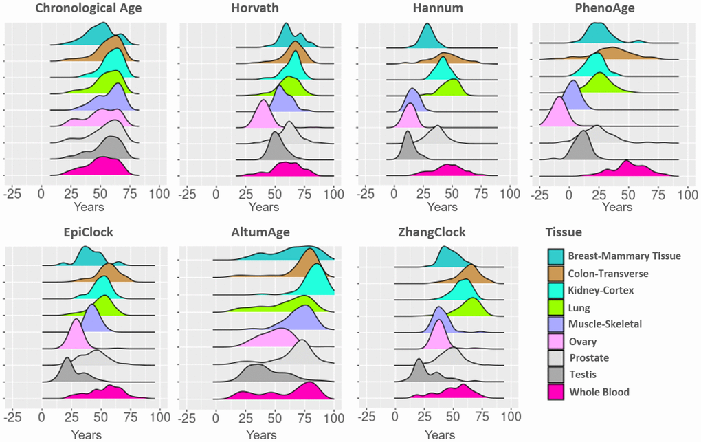 DNA methylation clock estimates vary across tissue types. The distributions of estimates for age and six clocks are color coded by tissue type. For each clock, tissue types are ranked by their median and color-coded. The median and inter-quartile ranges are shown as vertical lines.