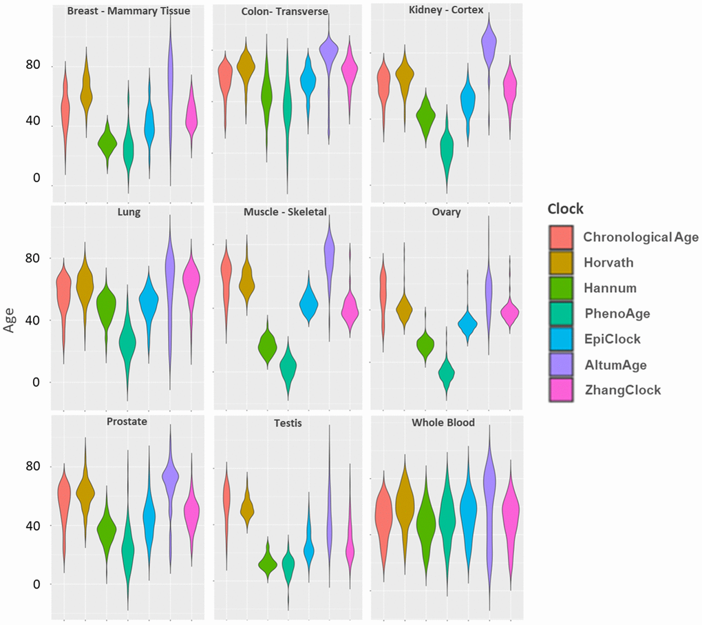 Distributions of chronological age and DNAm clock estimates within each of nine GTEx tissue types.