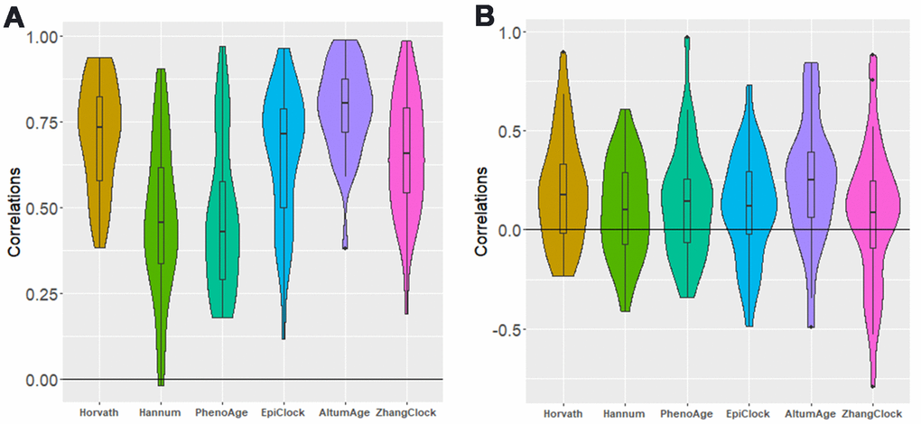 Distribution of between-tissue correlations for each clock, for all possible pairs of tissue types. (A) not adjusted for age (B) adjusted for age. Each of the five distributions shown (in both panels) has a mean greater than zero (P