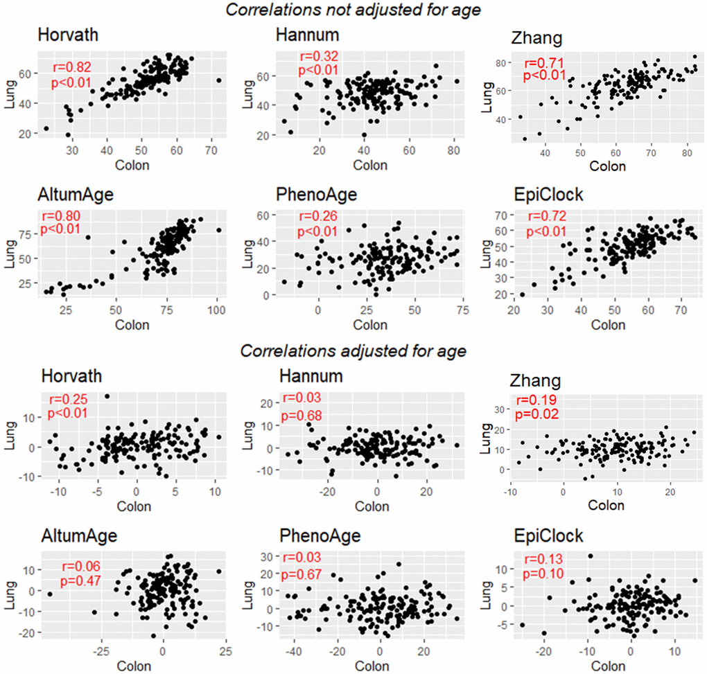 Correlation between lung-based and colon-based DNAm clock estimates for 6 clocks, without adjustment for age (top) and with adjustment for age (bottom). EpiTOC showed very weak evidence for correlation and is not presented.