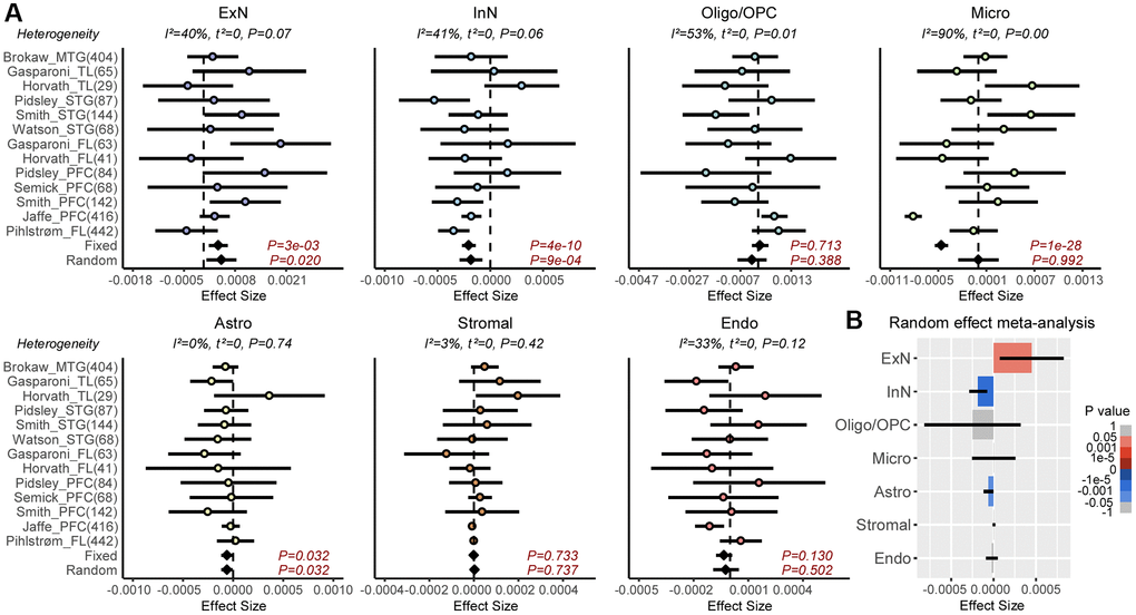 Meta-analysis of brain cell-type fractions with age. (A) Forest plots of associations between brain cell-type fractions and age, for 7 brain cell-types (Abbreviations: ExN: excitatory neurons; InN: inhibitory neurons; Oligo/OPC: oligodendrocytes/oligo precursor cells; Micro: microglia; Astro: astrocytes, Stromal; Endo: endothelial) across 13 independent DNAm datasets. Number of samples in each cohort is given in brackets. P-values from a Fixed and Random Effects models are also given. Heterogeneity statistics and P-values of heterogeneity are given above each plot. (B) Effect sizes and P-values from the Random Effects meta-analysis model.