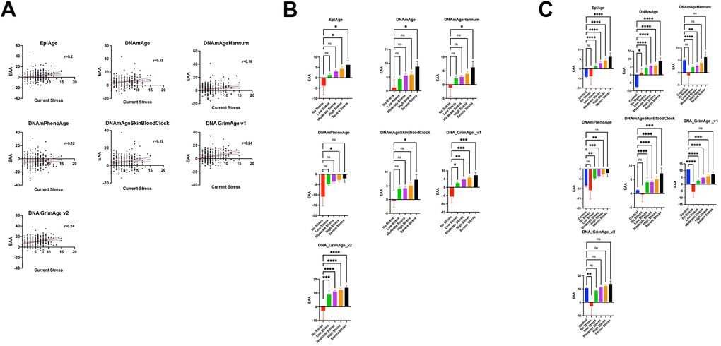 (A) Relationship between current stress levels (Axe X) and epigenetic age acceleration (EAA) (axe Y) across various epigenetic clocks (EpiAge, DNAmAge, DNAmAgeHannum, DNAmPhenoAge, DNAmAgeSkinBloodClock, DNAGrimAge v1, and DNAGrimAge v2) from the study GSE72680, analyzed using Pearson’s r. Stress level severity is represented by increasing numbers where a score of 0 means No Stress, and 15 is the most severe stress. Each plot in this figure represents a different clock, highlighting the strength and significance of their relationships with current stress. The central line in each plot represents the regression line, accompanied by two red lines which delineate the 95% confidence intervals, underlining the precision of the correlation estimates. (B) Scatter plots illustrate the relationship between varying stress levels and epigenetic age acceleration across different epigenetic clocks. The plot compares five groups categorized by stress intensity: No Stress (Level 0, n=9), Low Stress (Levels 1-4, n=149), Moderate Stress (Levels 5-7, n=106), High Stress (Levels 8-10, n=48), and Severe Stress (Levels 11-15, n=13). Each point represents an individual’s epigenetic age acceleration, with group comparisons analyzed using ordinary one-way ANOVA and Dunnett’s multiple comparisons test to assess statistical differences between the No Stress group and each of the stress intensity groups. (C) Scatter plots depicting the relationship between stress levels and epigenetic age acceleration (EAA) across various epigenetic clocks, incorporating control groups for a comprehensive analysis. This plot includes six groups: No Stress (Level 0, n=9), Low Stress (Levels 1-4, n=149), Moderate Stress (Levels 5-7, n=106), High Stress (Levels 8-10, n=48), Severe Stress (Levels 11-15, n=13), and an added Control group (n=419, combining subjects from datasets GSE128235 and GSE125105). Each point illustrates an individual’s EAA. Group differences were statistically evaluated using ordinary one-way ANOVA with Dunnett’s multiple comparisons test, comparing each stress level group as well as the Control group against the No Stress group to identify significant variations in EAA.