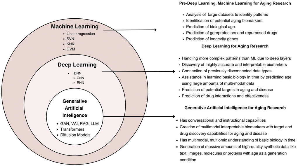 The layered structure of machine learning, deep learning, and generative artificial intelligence in the context of aging research. ML encompasses foundational methods, including linear regression and support vector machines, for biomarker identification and biological age prediction. DL builds on ML, employing architectures such as convolutional and recurrent neural networks to analyze complex, multimodal datasets. GenAI extends DL capabilities through generative models, including GANs and transformers, enabling synthetic data generation, multimodal biomarker creation, and advanced applications in drug discovery and aging-related interventions.