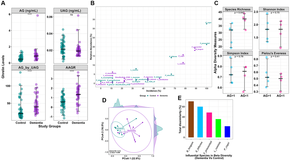  (A) Clinical data comparison (AG, UAG, AG/UAG, AAGR) between dementia and controls. (B) Relative abundance vs. incidence for the top 15 abundant species. Incidence refers to the number of patients in which a species is observed when its abundance is >1%. (C) Alpha diversity indices (Species Richness, Shannon Index, Simpson Index, and Pielou’s Evenness index) with statistical comparison between AG >1 and AG D) Beta diversity using Bray-Curtis dissimilarity is plotted on the principal coordinate axis (PCoA), with density labelled on each axis to represent the variation between sample points for each group. (E) Influential species with Bray-Curtis dissimilarity (%) in beta diversity differences between the dementia and control groups.