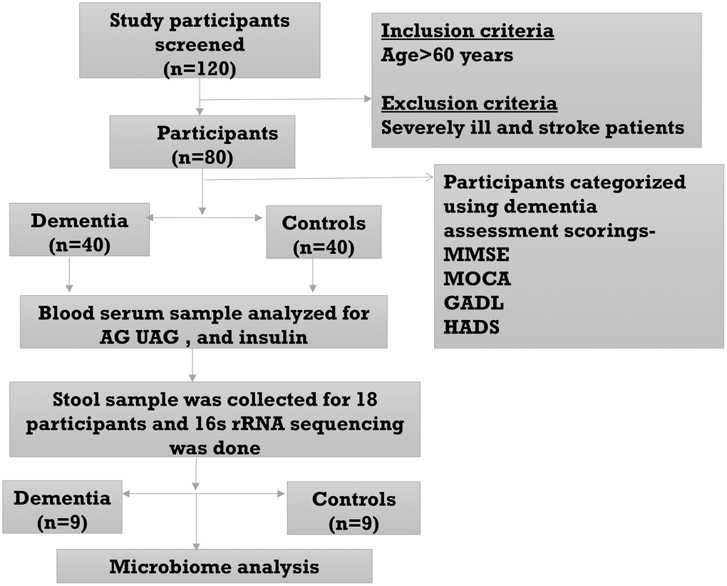 Flow diagram of the study.