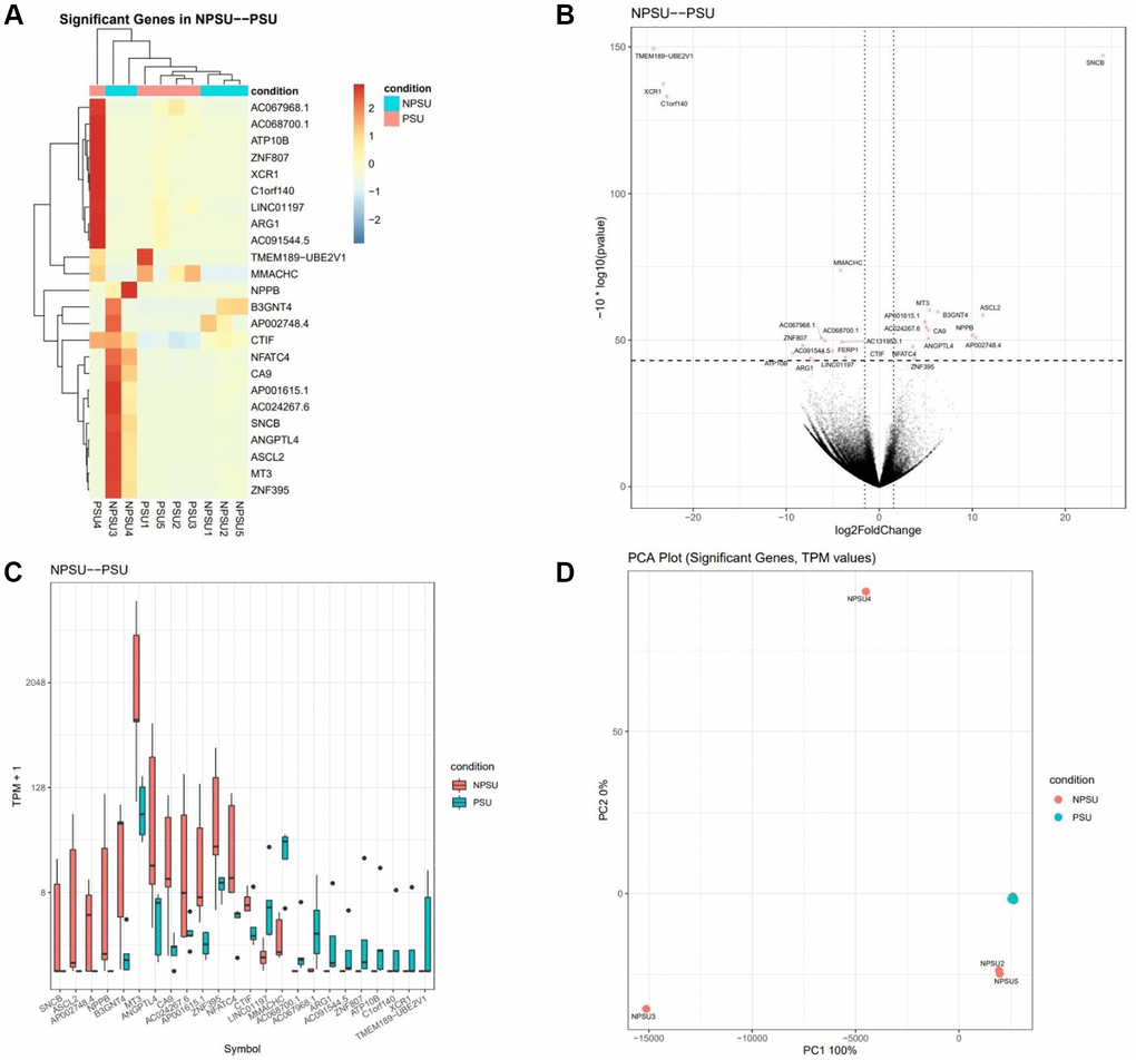 Gene expression is altered in PRP-treated patients with sustained implantation (Group 2) compared to control patients with sustained implantation (Group 1). (A) The heat map illustration shows differentially expressed genes. The color spectrum ranging from red to blue indicates normalized levels of gene expression from high to low. (B) Volcano plot for RNA-seq comparing Group 2 to Group 1. (C) Differentially expressed genes in Group 2 compared to Group 1, P D) PCA plot for RNA-seq for significant genes comparing Group 2 to Group 1. The transcripts per million (TPM) value represents the relative expression level comparable between samples.