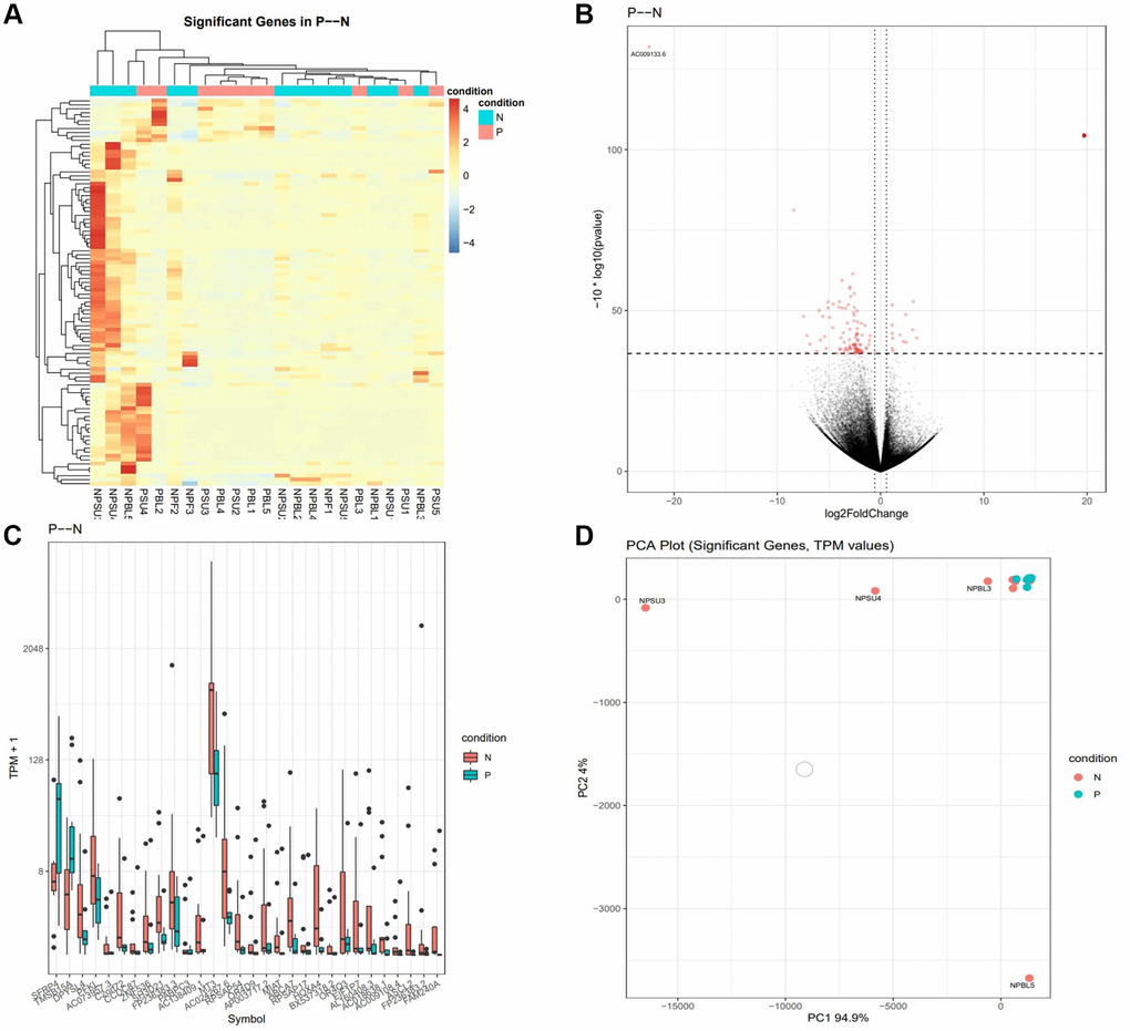 Gene expression is altered in cumulus cells of PRP-treated patients (Groups 2 and 5 combined) compared to controls (Groups 1, 3, and 4 combined). (A) The heat map illustration shows differentially expressed genes. The color spectrum ranging from red to blue indicates normalized levels of gene expression from high to low. (B) Volcano plots for RNA-seq comparing PRP to control. (C) Differentially expressed genes in CONT and PRP, P D) PCA plots for RNA-seq for significant genes comparing PRP to control. The transcripts per million (TPM) value represents the relative expression level comparable between samples.