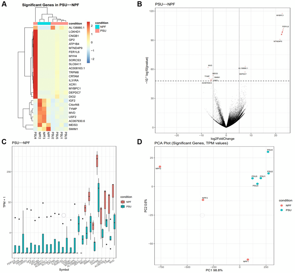 Gene expression is altered in PRP-treated patients with sustained implantation (Group 2) compared to control patients without sustained implantation (Group 3). (A) The heat map illustration shows differentially expressed genes. The color spectrum ranging from red to blue indicates normalized levels of gene expression from high to low. (B) Volcano plots for RNA-seq comparing PRP-LB with C-NP. (C) Differentially expressed genes in Group 2 versus Group 3, P D) PCA plots for RNA-seq for significant genes comparing Group 2 with Group 3. The transcripts per million (TPM) value represents the relative expression level comparable between samples.