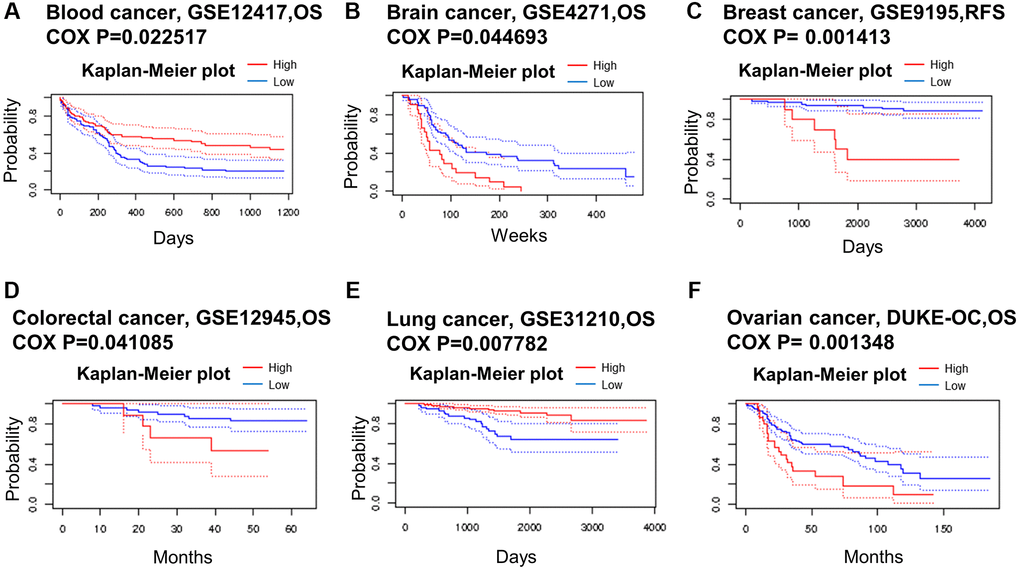 Kaplan–Meier survival curves comparing high and low expression in multiple cancer types from PrognoScan. (A) Blood cancer. (B) Brain cancer. (C) Breast cancer. (D) Colorectal cancer. (E) Lung cancer. (F) Ovarian cancer. A p-value 