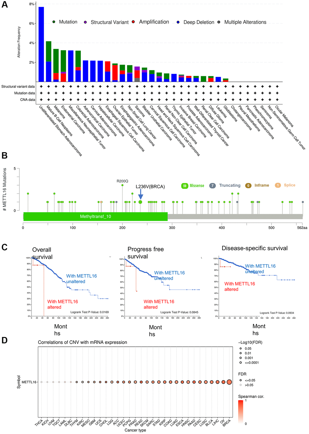 Mutation status of METTL16 across TCGA tumors. (A) The alteration frequency with mutation type. (B) Mutation site (C) The association between mutation and OS (Overall survival), PFS (Progression-free survival) and DSS (Disease-specific survival). (D) A Spearman association between METTL16 CNV and mRNA was performed in pan-cancer.