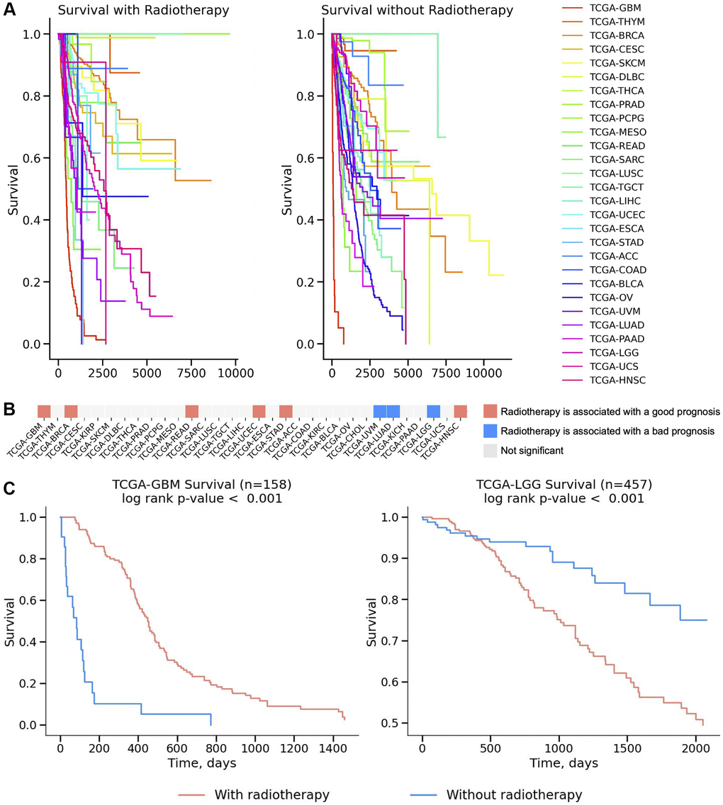 Survival analysis across 32 TCGA cancers. (A) Survival curves for patients who received radiotherapy and those who didn’t presented on a Kaplan-Meier plot for 32 TCGA cancers. (B) The significance of survival results is plotted on a heatmap and colored red if radiotherapy increased survival outcomes and blue if the application of radiotherapy decreased survival outcomes. Non-significant results were colored white (p-value > 0.05). The log-rank test was used to calculate statistical significance. (C) Survival analysis for IR treatment is presented on a Kaplan–Meier plot for TCGA-GBM (Glioblastoma, left figure) and TCGA-LGG (Brain Lower Grade Glioma, right figure) cancers.