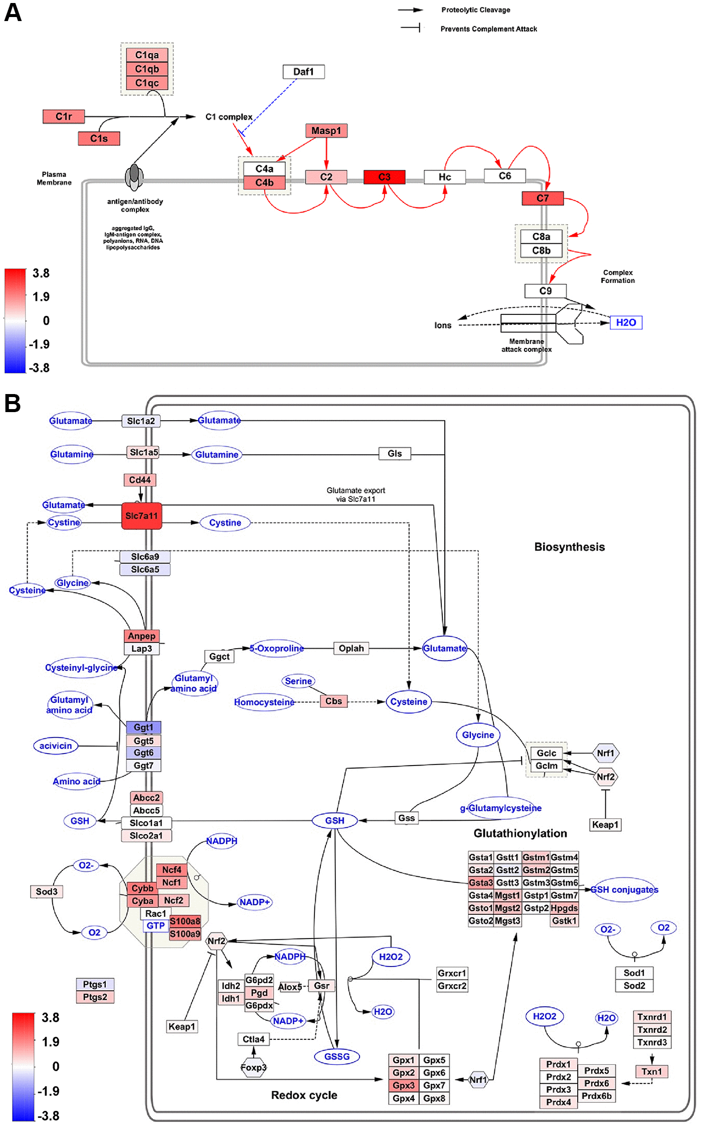 class="figure-viewer-img"