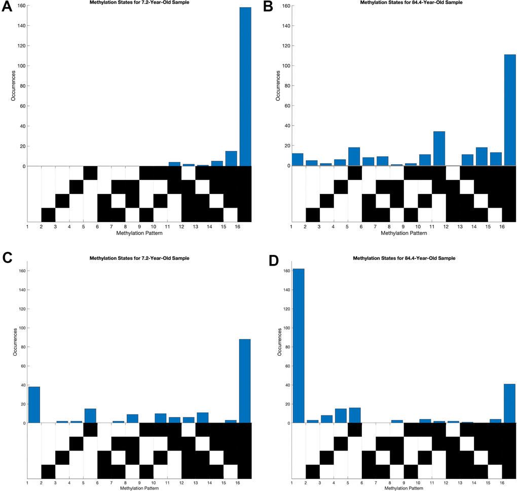 Distribution of methylation states of young and old samples at loci highly correlated between entropy and age. Each column of the grid below the histograms corresponds to a distinct methylation pattern, where black corresponds to an unmethylated CpG site and white corresponds to a methylated one. (A, B) Methylation pattern distributions at chr15:51681883-51681783, where average methylation and methylation entropy were positively correlated with age. (C, D) Methylation pattern distribution at chr2:101001739-101001859, where average methylation and methylation entropy were positively and negatively correlated with age, respectively.