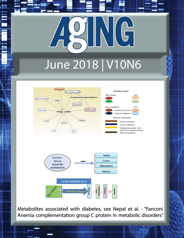The cover for issue 6 of Aging features Figure 5 "Metabolites associated with diabetes" from Nepal et al.