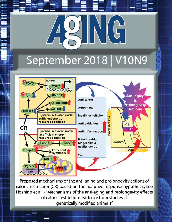 
          The cover for issue 9 of Aging features Figure 51 "Proposed mechanisms of the anti-aging and prolongevity actions of caloric restriction (CR) based on the adaptive response hypothesis" from
          
              Hoshimo et al.
          
      