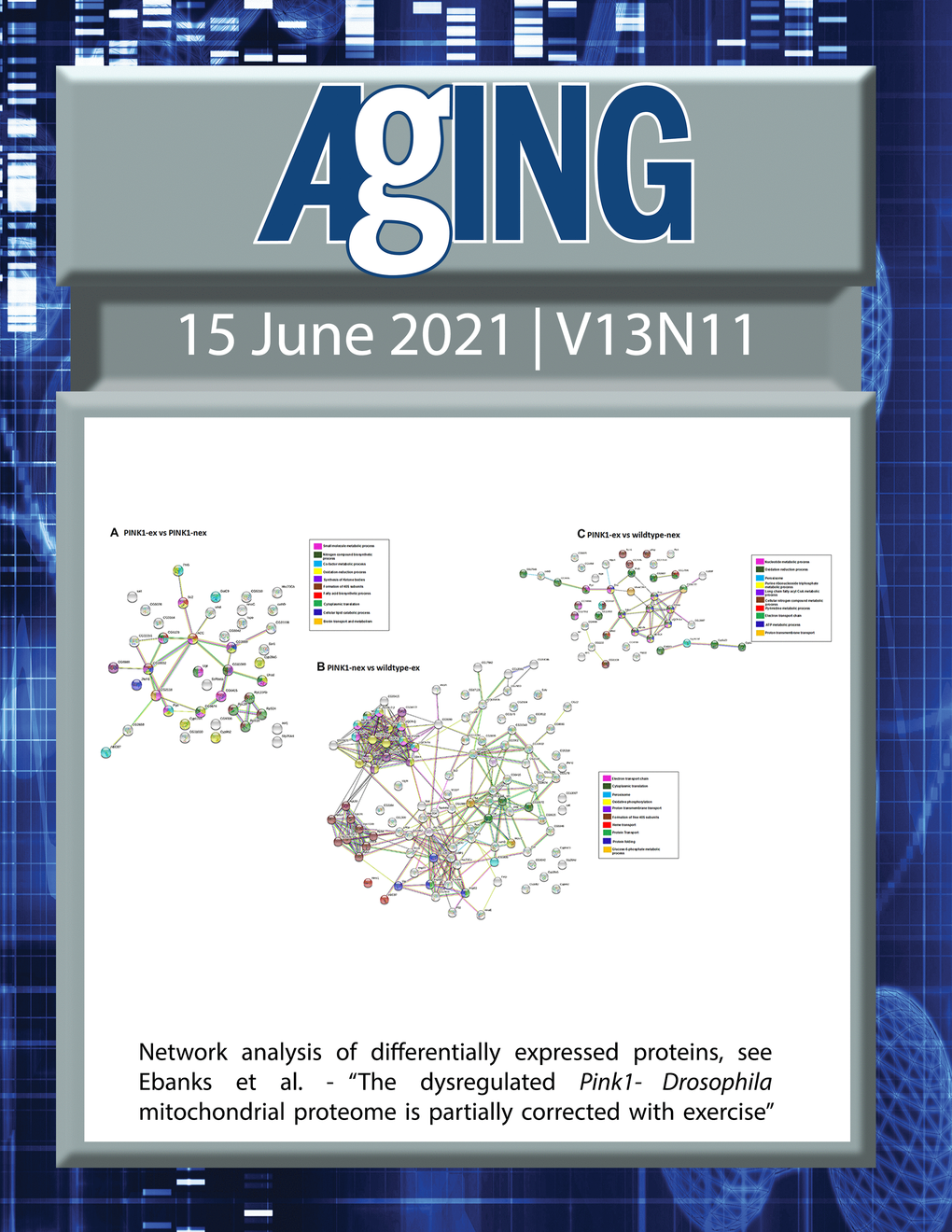 The cover features Figure 6 "Network analysis of differentially expressed proteins“ from Ebanks et al.