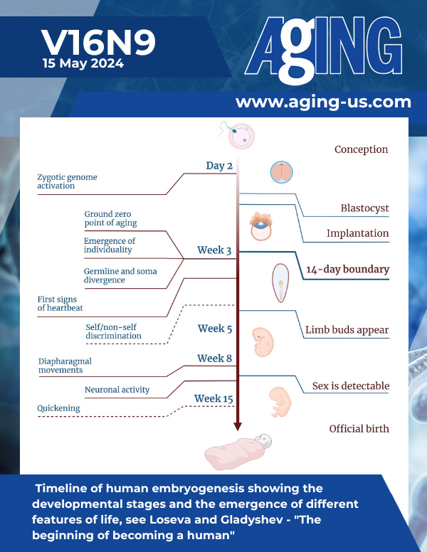 The cover features Figure&nbsp;4 " Timeline of human embryogenesis showing the developmental stages and the emergence of different features of life" from Loseva and Gladyshev
