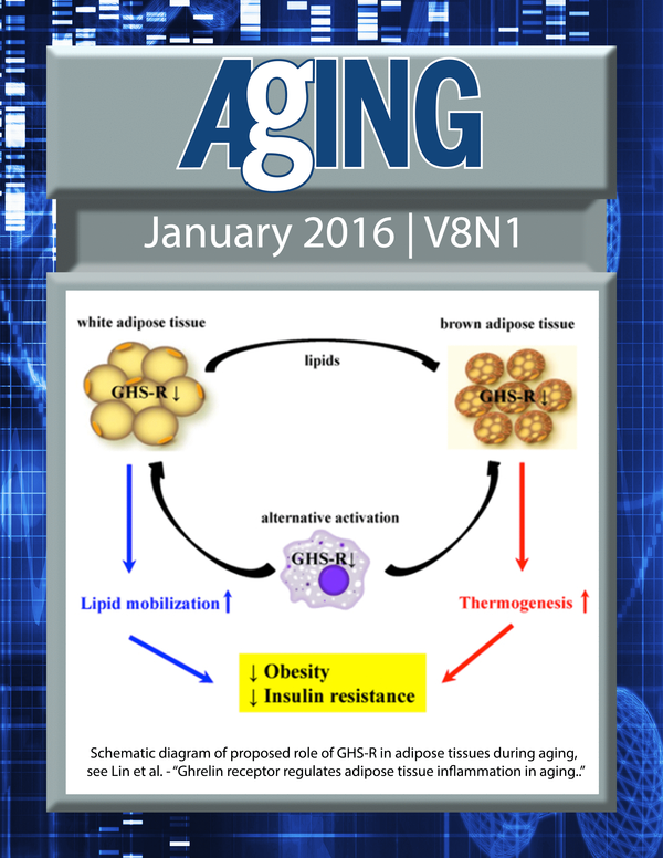 The cover for issue 1 of Aging features Figure 6, 'Ghrelin receptor regulates adipose tissue inflammation in aging' from Lin et al.