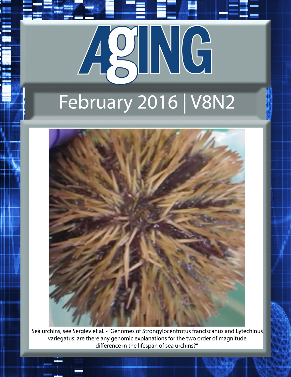 The cover for issue 2 of Aging features Figure 1B, 'Genomes of Strongylocentrotus franciscanus and Lytechinus variegatus: are there any genomic explanations for the two order of magnitude difference in the lifespan of sea urchins?' from Sergiev et al.