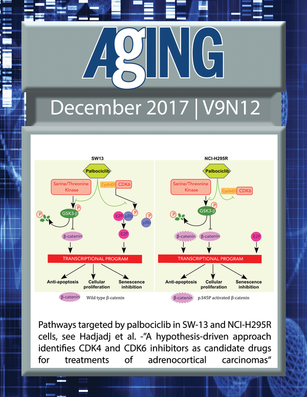 The cover for issue 12 of Aging features Figure 7 "Pathways targeted by palbociclib in SW-13 and NCI-H295R cells" from Hadjadj et al.