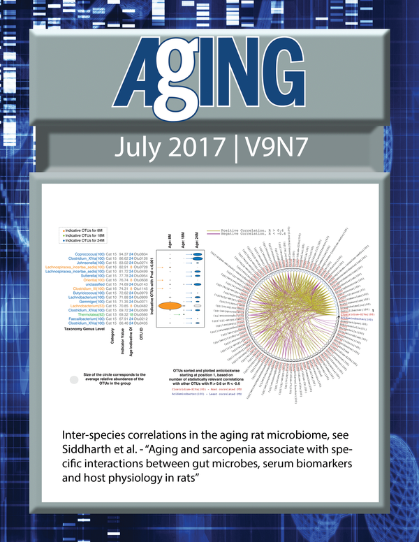 The cover for issue 7 of Aging features Figure 2, "Inter-species correlations in the aging rat microbiome." from Siddharth et al.