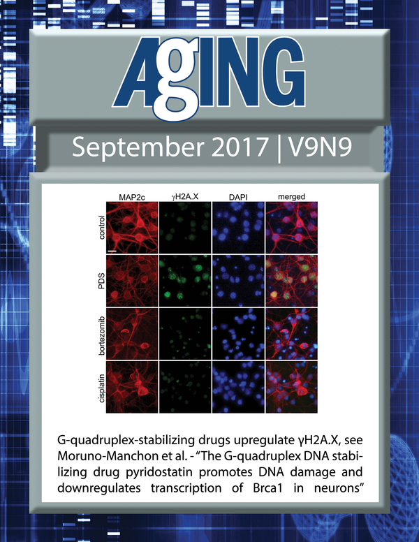 The cover for issue 9 of Aging features Figure 3A "G-quadruplex-stabilizing drugs upregulate γH2A.X" from Moruno-Manchon et al.