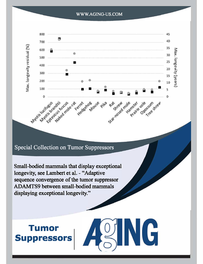 Special Collection on Tumor Suppressors